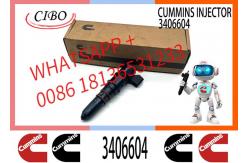 China PT Injector 3095773 3406604 3016676 3411821 3064881 3054218 3018566 supplier