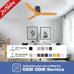 Homestead Reversible Dual Use DC Motor Ceiling Fan With 5 Speed Remote