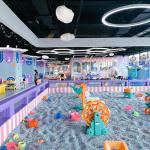 Premium Indoor Playground Equipment Fun Safe Play Zone For Kids