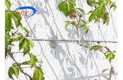 China Security Artificial Wire Trellis For Climbing Plants supplier