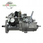 Fuel Injection Pump 4PL1155 4PL1156 BHF4PM100001 For YZ4102ZLQ 4100Q