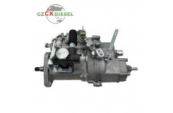 China Fuel Injection Pump 4PL1155 4PL1156 BHF4PM100001 For YZ4102ZLQ 4100Q supplier