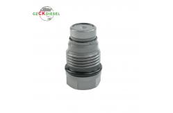 China Pressure Relief Valve 0281007706 1110010013 1110010018 1110010025 1110010027 for 6.7L Engine supplier