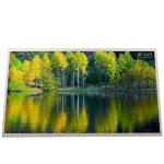 B133XW04 V2 13.3 inch 1366*768 LCD Display LCD Laptop Screen for sale