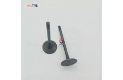 China Diesel Parts Engine Valves S6K Inlet Valve 36704-00400 5I8011 supplier