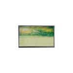U062SWR6-0 6.2 inch 720*1600 LCD Screen FOR Mobile Phone for sale