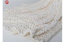 China Silver Plating Flannel Polyester Fleece Blanket Reversible Plush Throw Fluffy Soft Bed supplier