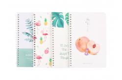 China Art diy Spiral Bound Book custom spiral binding book printing supplier