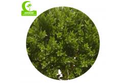 China Anti Fading Artificial Topiary Tree , Artificial Spiral Tree 110cm supplier