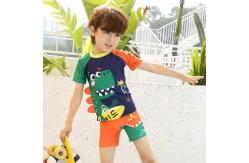 China Boy Swimming Trunks Dinosaur Suit Boy Split Swimming Suit With Hat supplier