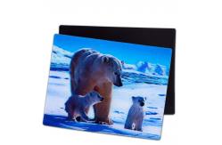 China Lovely Puppies 3D Magnets Lenticular 3D Fridge Magnet For Souvenir Gift supplier