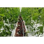 PVC Substrate Planting Gutter Hydroponics For Strawberries And Tomatoes Planting for sale