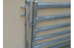 China Hot Dip Galvanized 1.6m Livestock Fence Panels With Accessory Pins / Lugs supplier