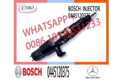 China Diesel Injector 0445120374 0445120375 4700700287 A4700700287 0445120374 0445120375 0445120298 0445120299 supplier