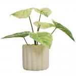 Green Artificial Potted Floor Plants For Garden Philodendron Birkin