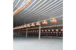 China Poultry Pan Feeding System Automatic Poultry Feeder System With Stern Shaft supplier