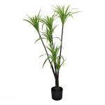 Dracaena Marginata Artificial Landscape Trees For Home Office Decoration for sale