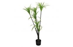China Dracaena Marginata Artificial Landscape Trees For Home Office Decoration supplier