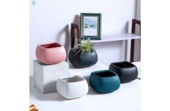 China Customizable Ceramic Pots To Meet Your Specific Planting Requirements supplier