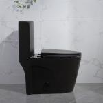 Siphonic One Piece Elongated Dual Flush Toilet Skirted Trapway 300mm Rough In for sale