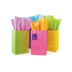 Party Printed Paper Bags / Colored Paper Merchandise Bags Customized Shape for sale