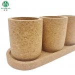 China Custom Cork Natural and Reusable Flower Pots for Your Sustainable Space manufacturer