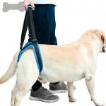 Auxiliary Belt Leg Support Pet Harness Leash For Disability Injury High Aged Dog for sale
