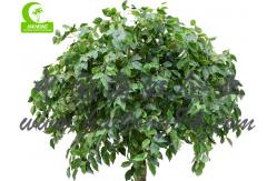 China Fire Retardant Aesthetic Faux Ficus Plant , 8ft Artificial Palm Tree In Green supplier