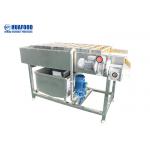 Industrial Brush SUS304 Vegetable Washing Machine for sale