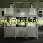 Bagasse Eco Friendly Pulp Plate Making Machine 1T For Tableware for sale