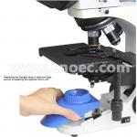 Infinity Compensation Wide Field Microscope A12.0302 Binocular Head , Y Style Body for sale