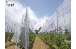 China Plastic Anti Hail Net White Hail Screen For Gardens And Fruits supplier