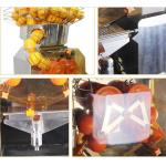 110V - 220V Automatic Orange Juicer Machine / Cold Pressed jJuicer Machine