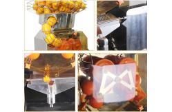 China 110V - 220V Automatic Orange Juicer Machine / Cold Pressed jJuicer Machine supplier