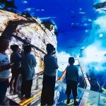 Custom Indoor 3d Multi Large Screen Immersive Hanging Glass Theater Experience