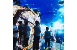 China Custom Indoor 3d Multi Large Screen Immersive Hanging Glass Theater Experience supplier