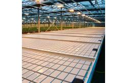 China Hot Selling Hydroponic Abs Trays Ebb And Flood Greenhouse Rolling Benches Grow Table supplier