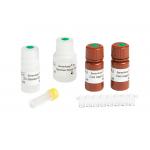Batch Testing Men'S Fertility Test Kit For Determination Seminal Plasma Zinc Levels for sale