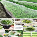 Ultra Fine HDPE Insect Netting For Vegetable Gardens Fruits Flowers Protection