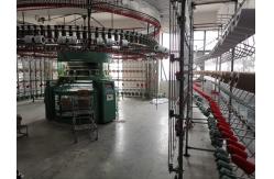 China Striped Cotton Fabric manufacturer