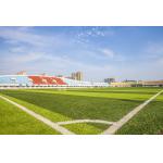 SGS Certificate Artificial Turf Grass Synthetic Carpet Football Court for sale