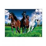 Running Black Horses Image 3D Lenticular Pictures For Advertisement