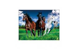 China Running Black Horses Image 3D Lenticular Pictures For Advertisement supplier