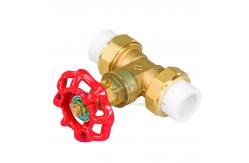 China Free Sample Metal Gate Valve PN16  PPR Pipe Gate Valve For water supplier