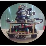 Multifunctional Remote Control Car Parts 2WD Drive DIY Intelligent Tortoise Remote