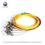 SM 12 Core FC Distribution 1310nm 1550nm Single Mode Fiber Pigtails for sale