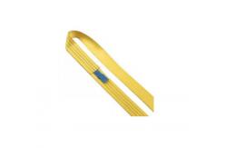 China 3 Tonne 75mm Wide Endless Polyester Webbing Sling supplier