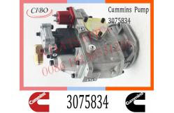 China Diesel Injection For Cummins KTA50 PT Fuel Pump 3075834 3059657 3060947 supplier