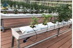 China Hydroponic PVC NFT Vertical Substrate Planting Gutter Growing System For Tomato supplier