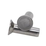 GB869 A2-70 Stainless Steel Countersunk Head Rivet 120 Degree for sale